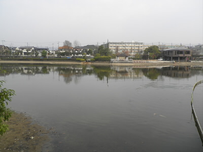 2013/03/10 09:39:00 枚方市民の森(鏡伝池)