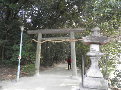 町中の森です。