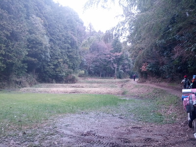 谷間に細長く、畑が続いていました。