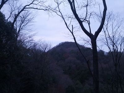 上り下りが続いています。たぶんあれが交野山。
