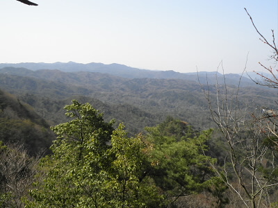 めちゃ山奥みたいですが、右には住宅地が日理がっています。