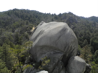 向かいにある岩も変です。
まるでサイのおしり。