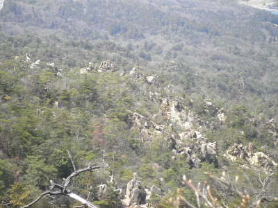 やっぱし、下はこんな庭園みたいな