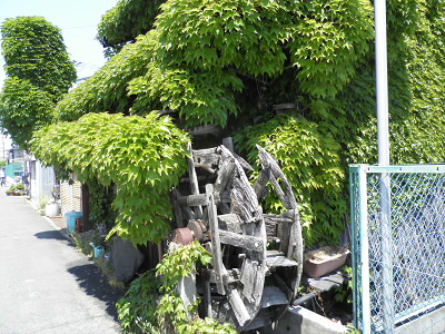 植物に埋もれた家屋
