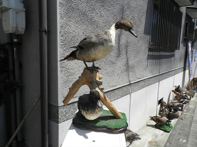 2013/05/12 10:58:54 剥製