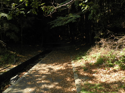 2013/05/25 09:15:18 登山口