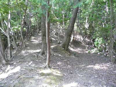 2013/05/25 09:27:18 登山道
