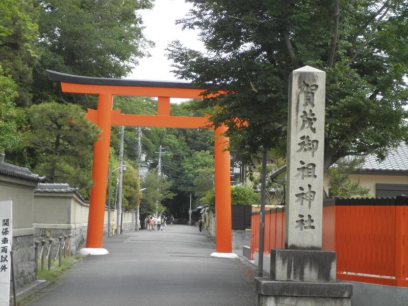 スタートは下鴨神社の糺の森からです。