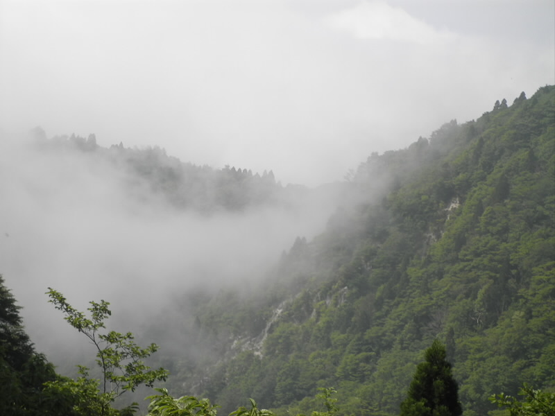 雲海ということはないが、谷に霧が立ち込めている。
そういえば、登るときに山頂付近に雲があったが、そのなごりか。
神秘的。