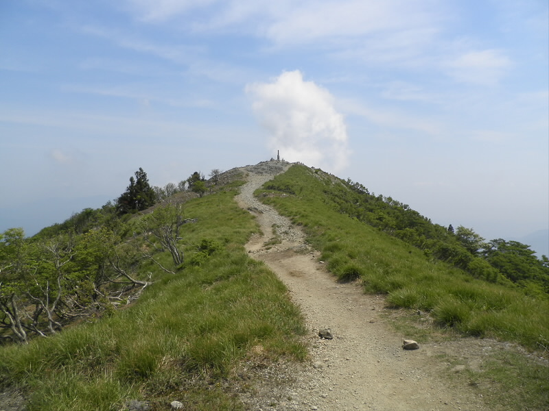 武奈ヶ岳山頂が見える。
もう、ひと踏ん張り。
お昼にする予定が、まだ１０時。
通過点とすることを決定。
