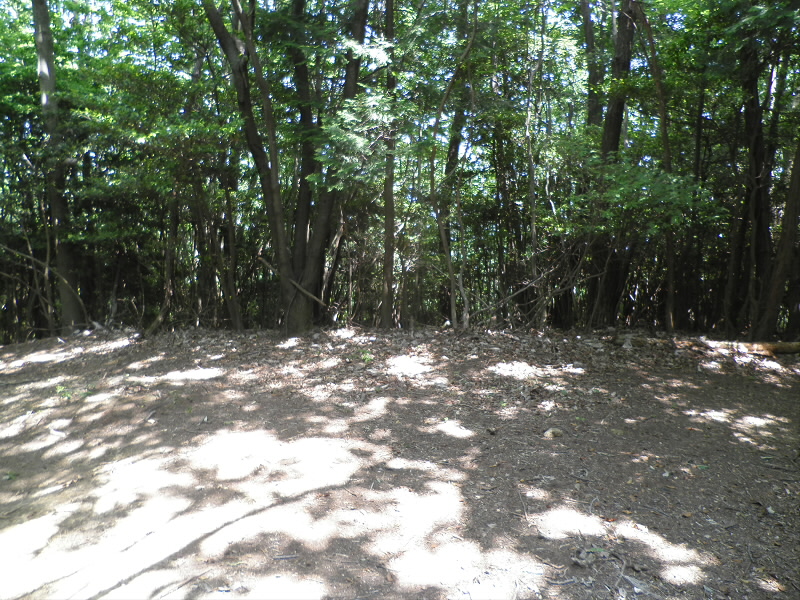 2013/06/08 11:59:51 分岐