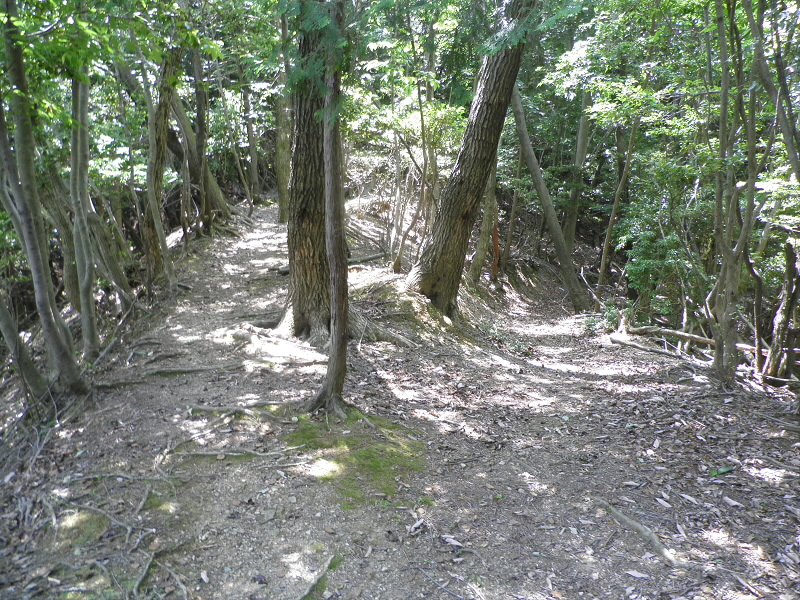 2013/06/08 12:22:00 分岐