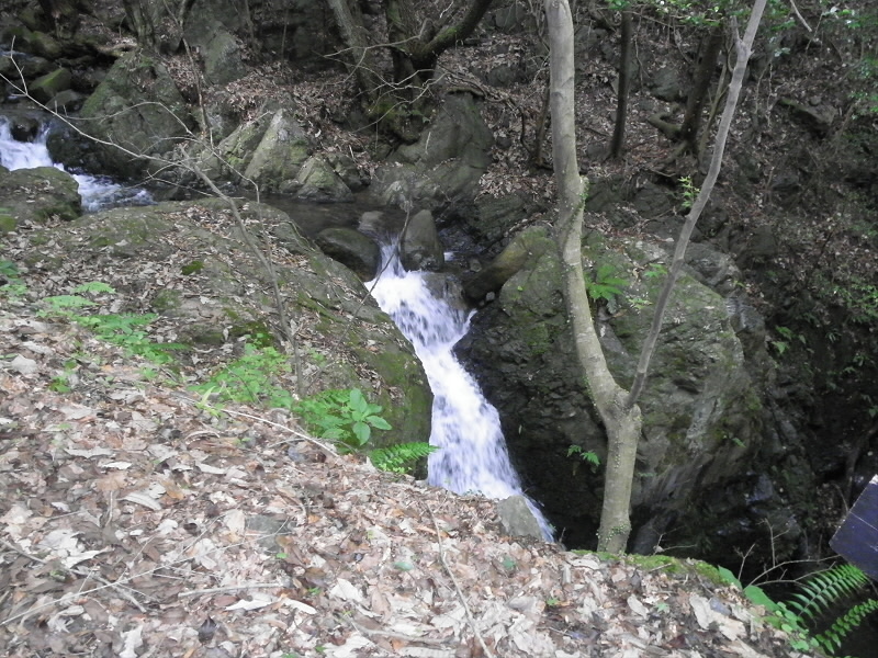 滝の向う側の岩に像が刻まれています。