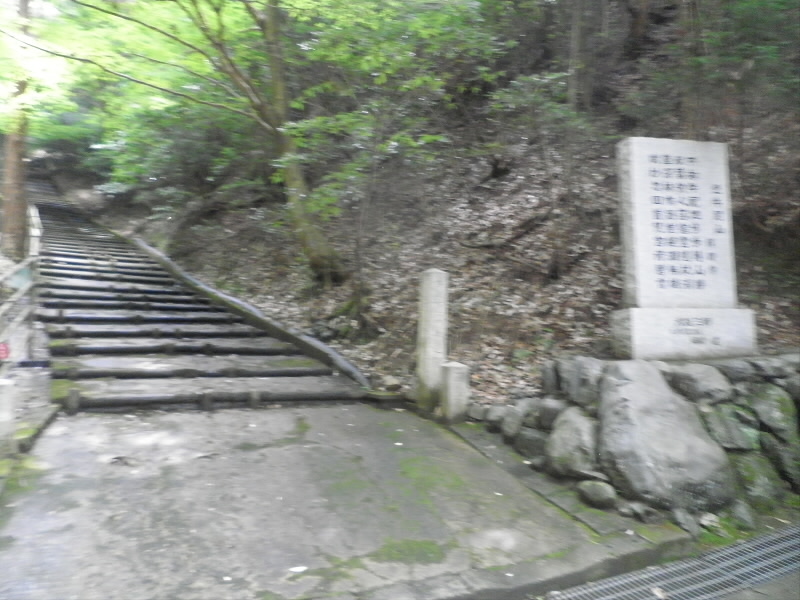 今日は、参道から登りました。