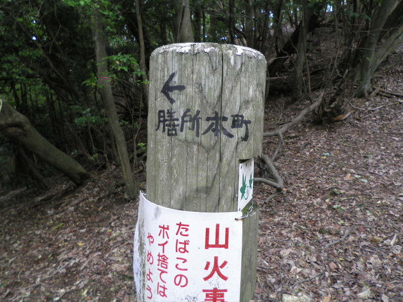 ここから、下りていきました。