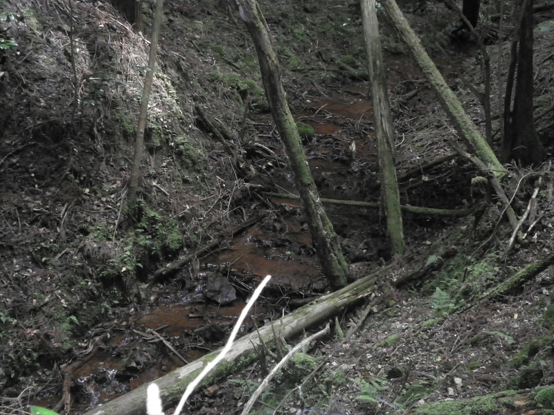 2013/07/06 13:55:11 池からの川