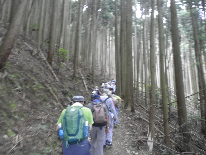 例のごとく、ぞろぞろと歩きはじめました。
大岩分岐までは登りが続き来ます。