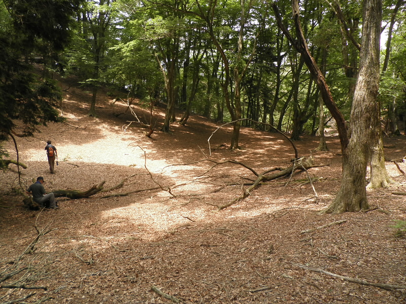 三角点へ登る手前で、すこし開けていました。
