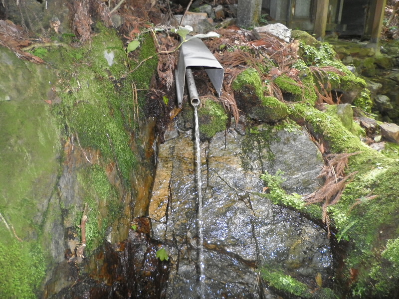 八大竜王のよこの湧き水。
ここのところずーっとパイプから水が出ていなく、水量が減ったのかと思っていました。
でも、横からは少し出ていたので、パイプをぐいぐいと動かすと、水量が復活しました。
一瞬、「水の出しっぱなしはダメ」と思い戻そうと考えましたが、パイプからの水量を戻しても横から出るから一緒なんですね。