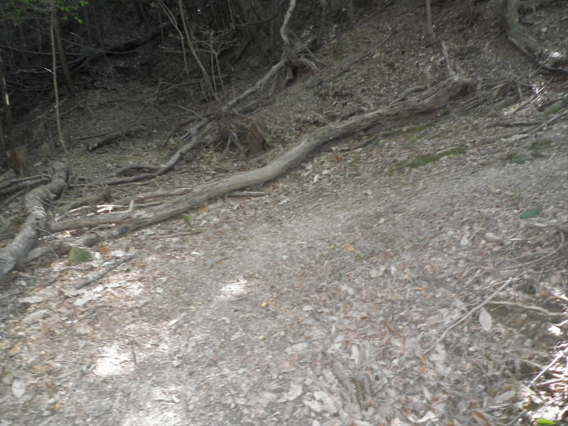 2013/07/20 14:31:30 運命の分かれ目