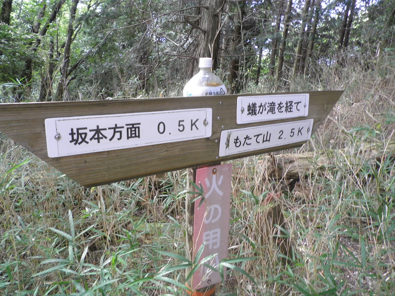 ここで、初めて蟻ヶ滝の道標が。