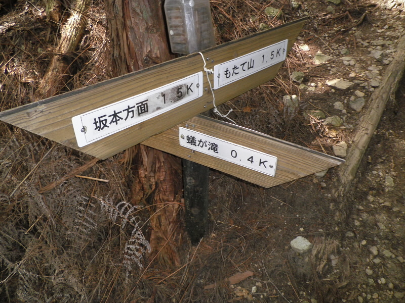 2013/07/21 08:36:40 蟻ヶ滝へもう少し