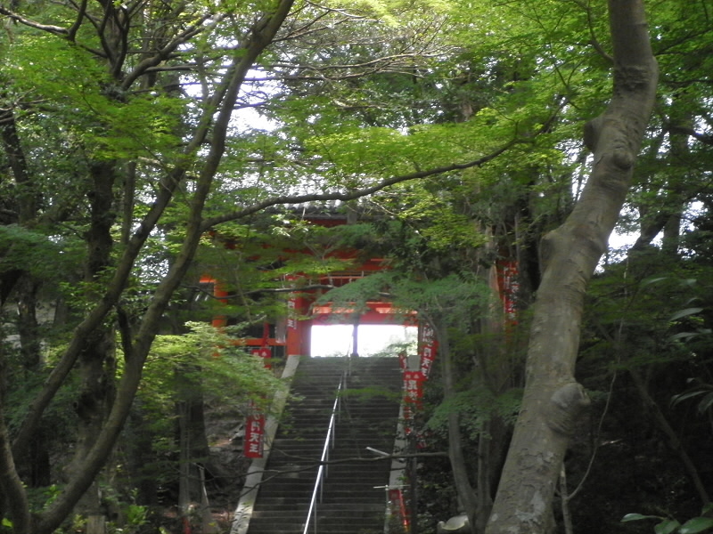 紅葉の頃もいいけれど、緑の深いときもきれいです。