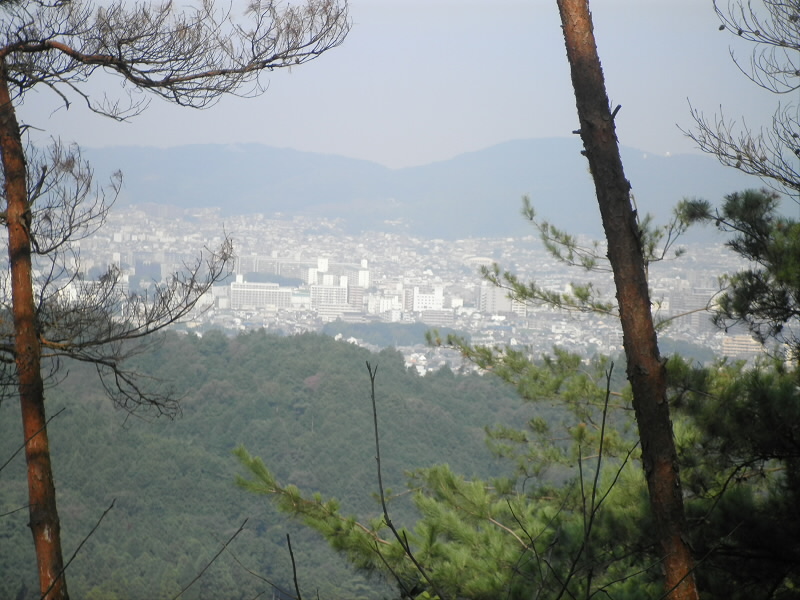 結構登ったつもりですが、まだ低い。