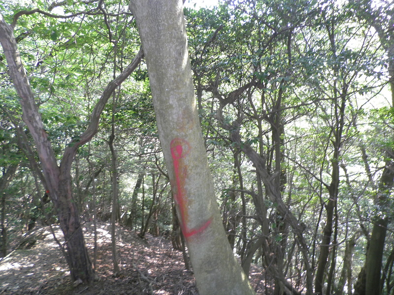 2013/08/11 09:49:30 こちら