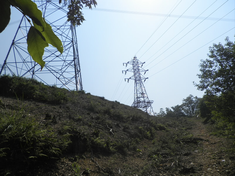 2013/08/11 10:05:30 まだ、鉄塔が