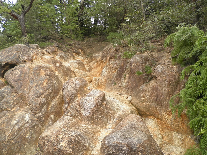 花崗岩の山なので、道もこんなのが増えてきます。