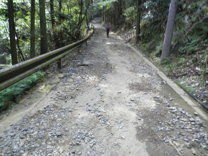 舗装が剥がれたとようですが、すぐ上の沢からの土砂崩れ。