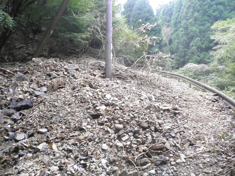 もう、どんだけあるのか。
ここは、本来の道が見えていないです。