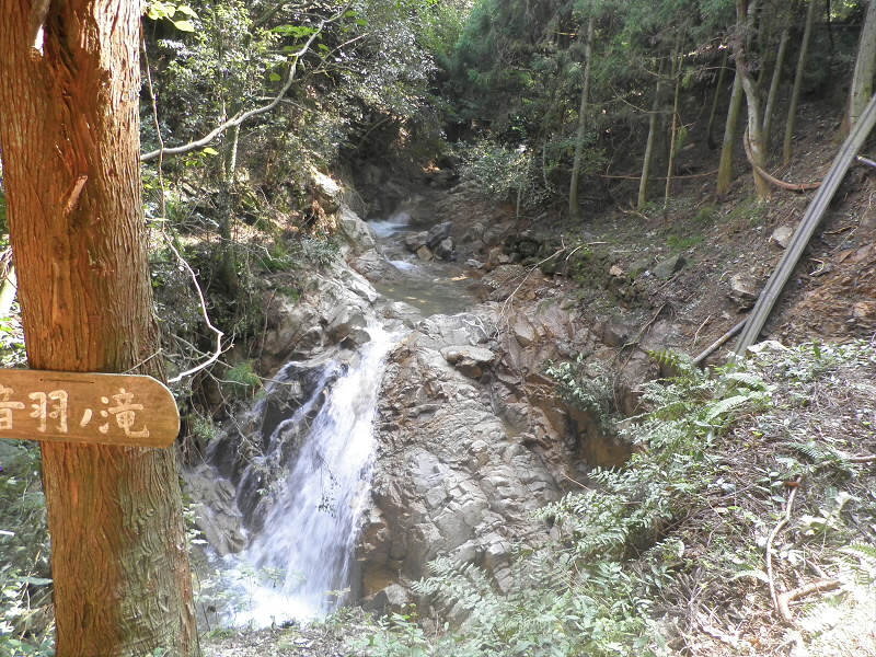 音羽の滝がダイナミックに見えています。
音羽の滝ってこんなんだったんだ。