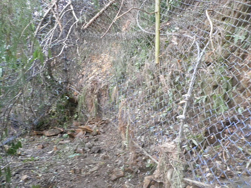 がけ崩れ防止の金網が支えきれずに崩壊しています。