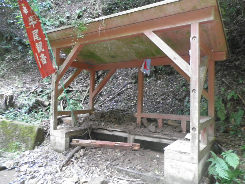 見た目は無事です。
でもすこし、後ろが崩れているようです。