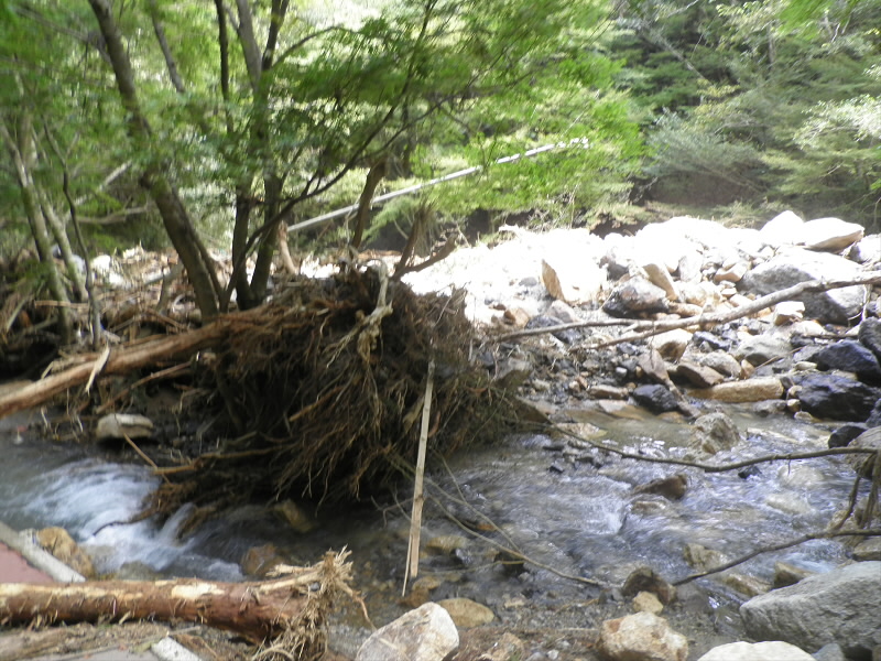 千人の滝からの崩れで、川が埋まって道に流れ出していました。
