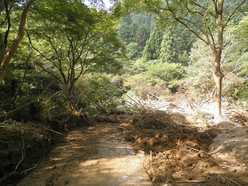 重機が付けた道。
