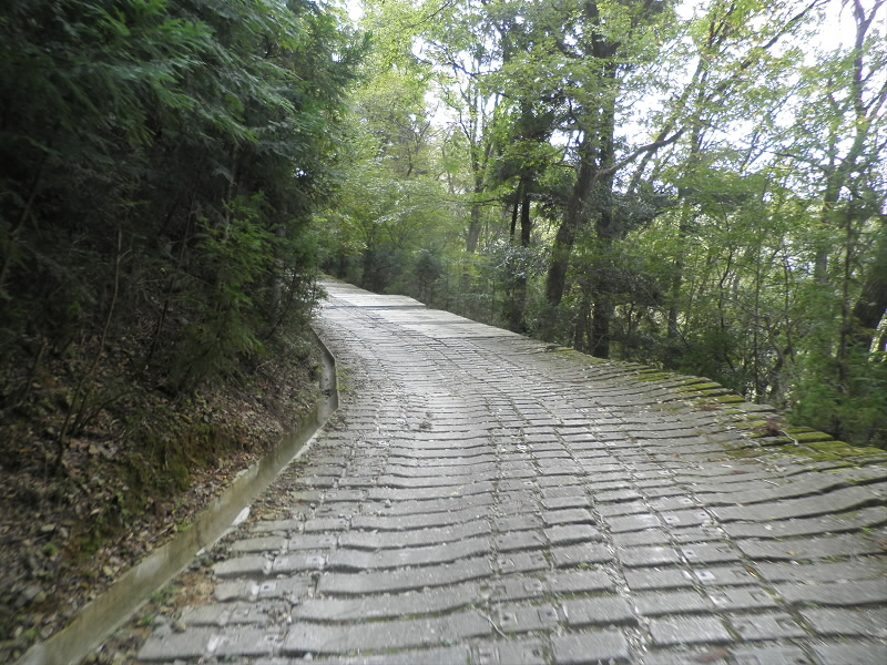 こちら側には水が出なかったようで、綺麗です。
また、重機が通れるようにしてくれたのだと思います。