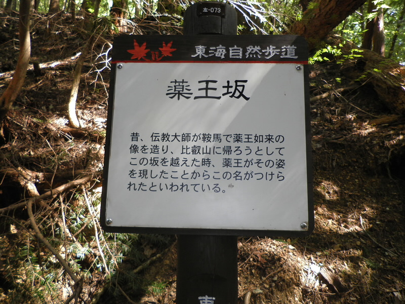 開始からしんどい。薬王坂です。
ここでからまだまだ登ります。