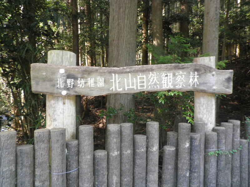 2013/09/28 13:51:45 観察林