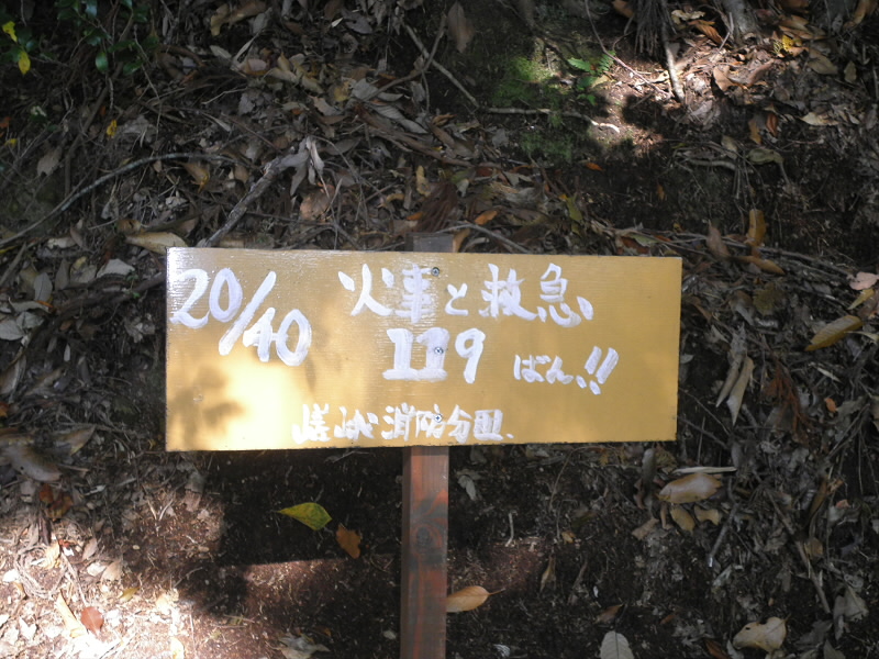 やっと、半分まできました。