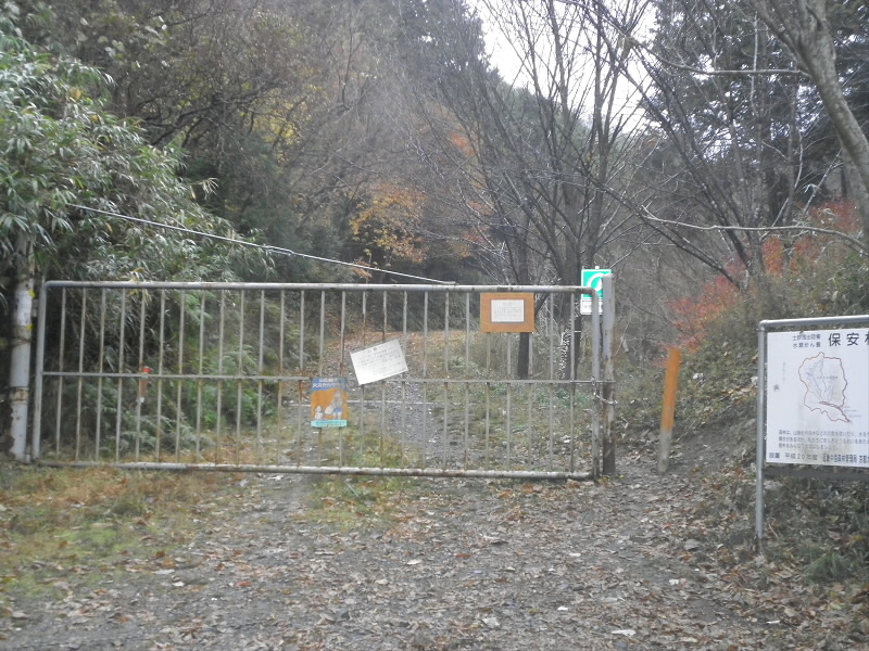 2013/12/08 08:41:53 林道