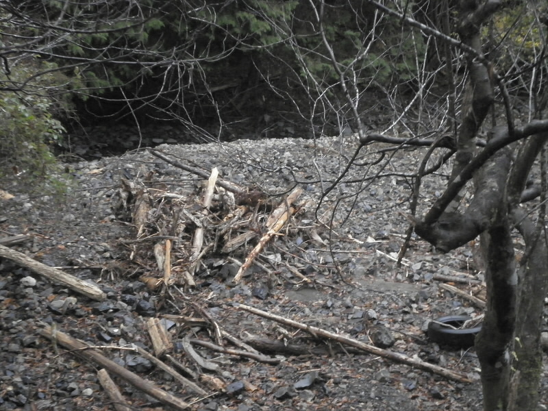 2013/12/08 08:44:20 台風の跡