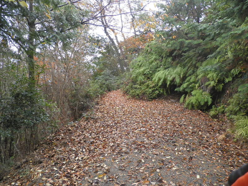 林道はここまで、もう少しで火事跡