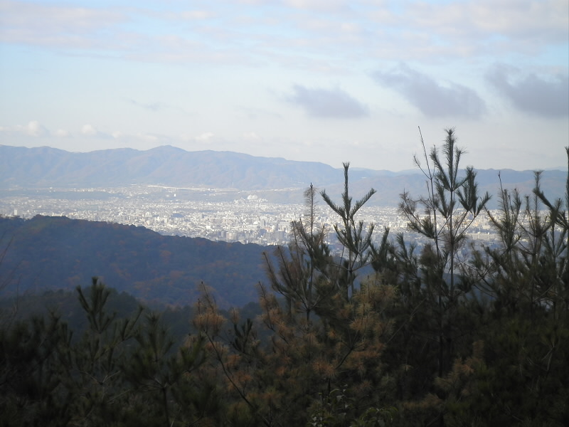 山火事跡からの山科の街並みです。
ここで開局してもいいのですが、やっぱし三角点から。