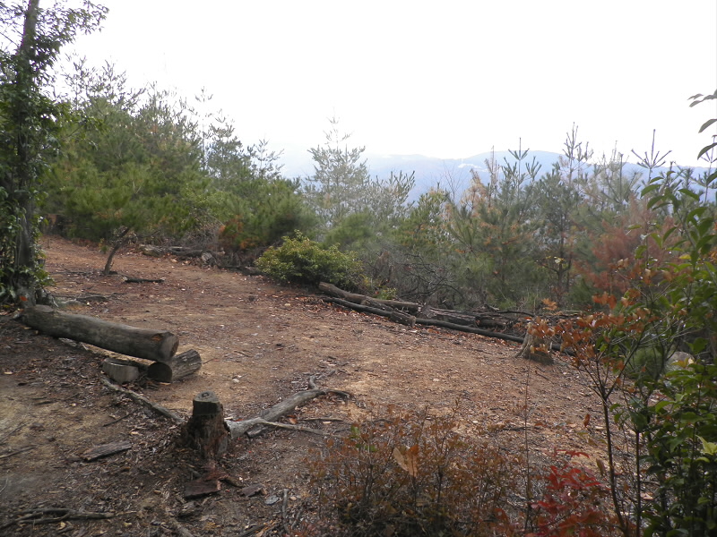 2013/12/08 09:07:17 山火事跡