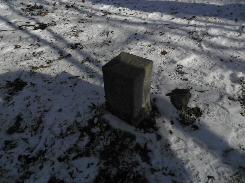 2013/12/14 11:57:15 天狗杉