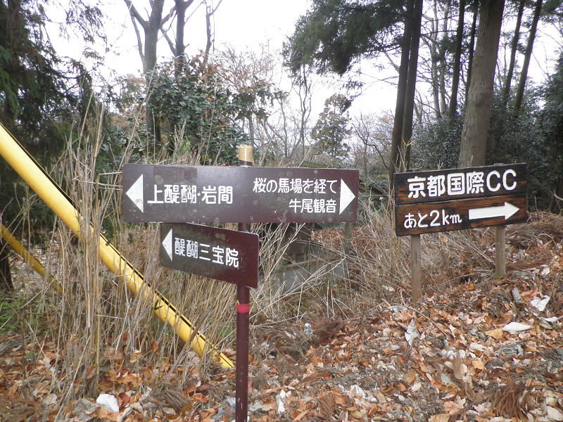 2013/12/15 12:29:43 横峰