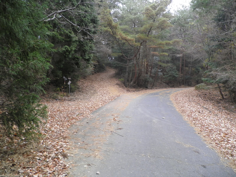 2013/12/15 12:55:55 ゴルフ道出会い